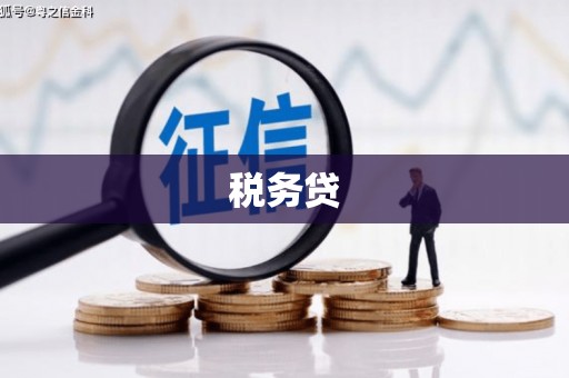 景东税务贷