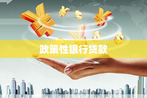 景东政策性银行贷款