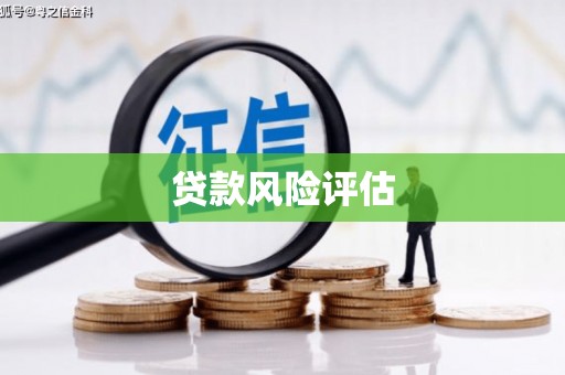 景东贷款风险评估