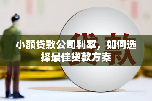 景东小额贷款公司利率，如何选择最佳贷款方案