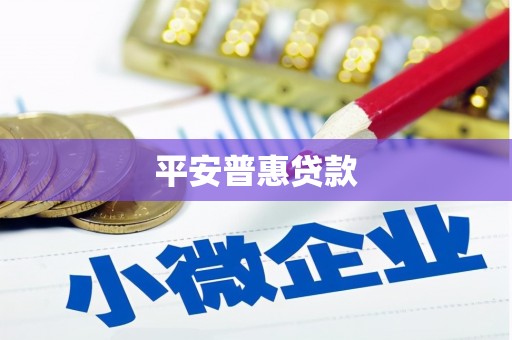 景东平安普惠贷款
