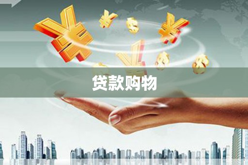景东贷款购物
