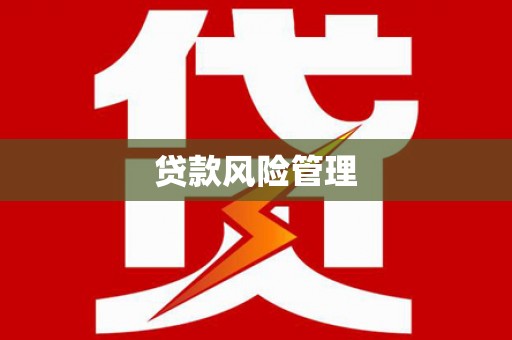 景东贷款风险管理