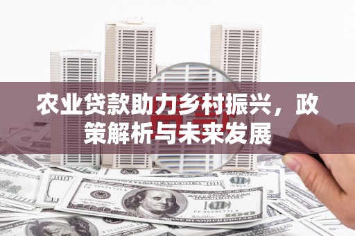 景东农业贷款助力乡村振兴，政策解析与未来发展