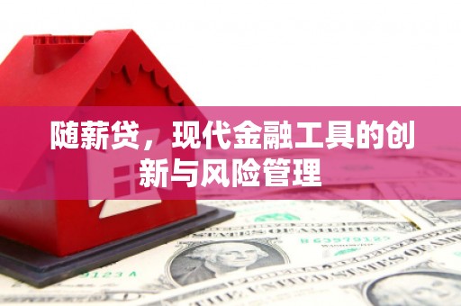景东随薪贷，现代金融工具的创新与风险管理