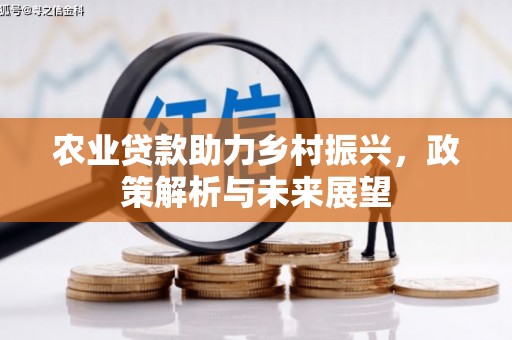 景东农业贷款助力乡村振兴，政策解析与未来展望