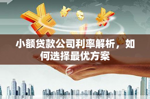 景东小额贷款公司利率解析，如何选择最优方案