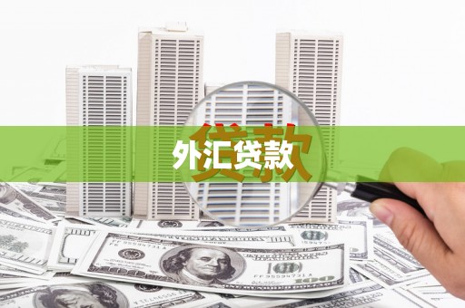 景东外汇贷款
