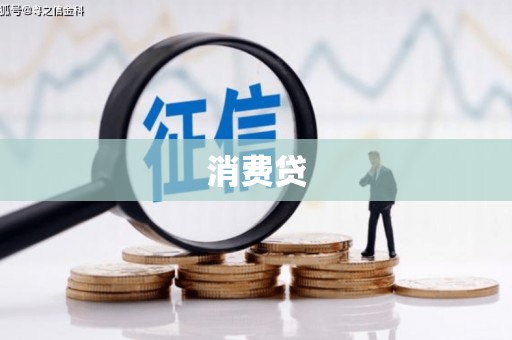 景东消费贷