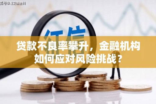 景东贷款不良率攀升，金融机构如何应对风险挑战？