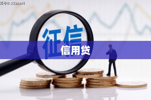 景东信用贷