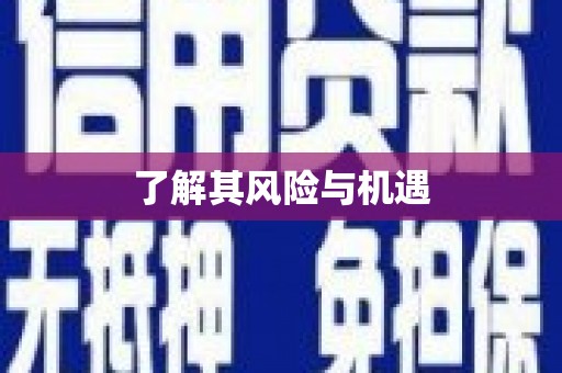 景东了解其风险与机遇