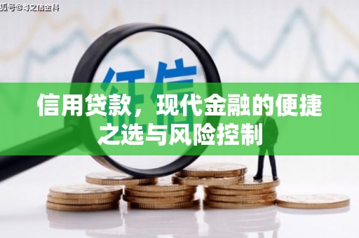 景东信用贷款，现代金融的便捷之选与风险控制