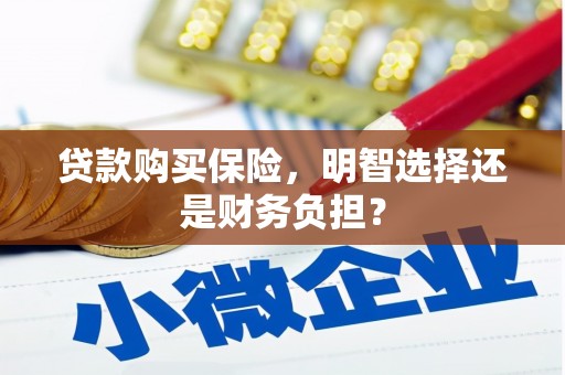 景东贷款购买保险，明智选择还是财务负担？