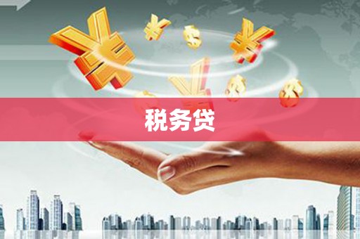 景东税务贷