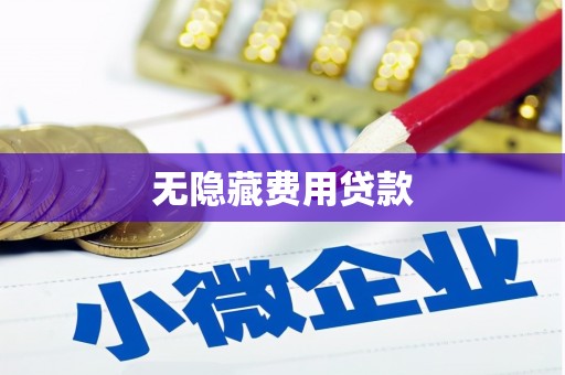 景东无隐藏费用贷款
