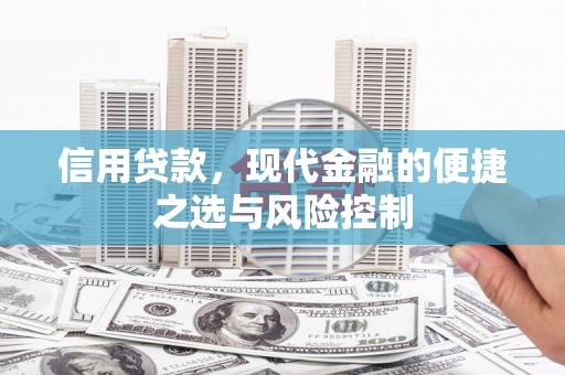 景东信用贷款，现代金融的便捷之选与风险控制