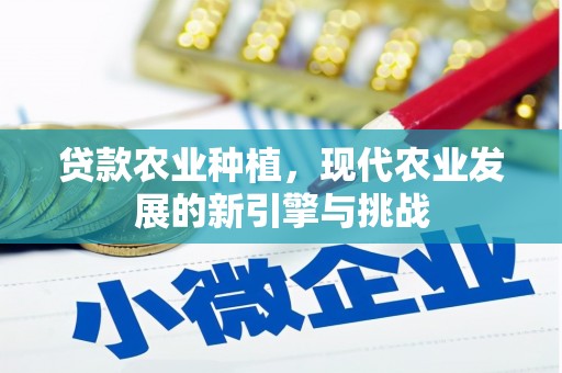 景东贷款农业种植，现代农业发展的新引擎与挑战