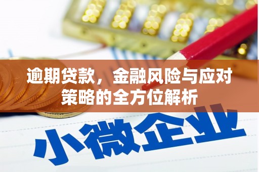 景东逾期贷款，金融风险与应对策略的全方位解析