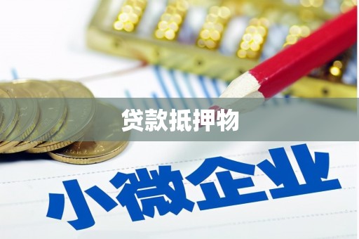 景东贷款抵押物