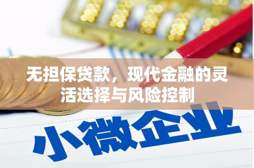 景东无担保贷款，现代金融的灵活选择与风险控制
