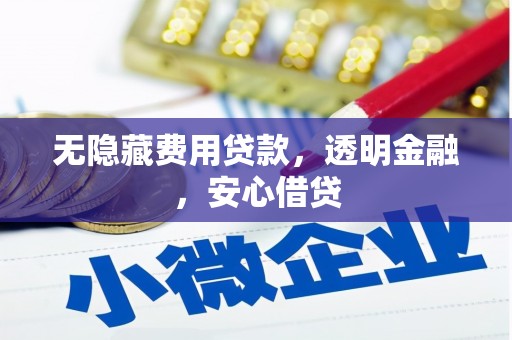 景东无隐藏费用贷款，透明金融，安心借贷