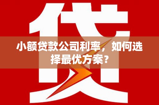 景东小额贷款公司利率，如何选择最优方案？
