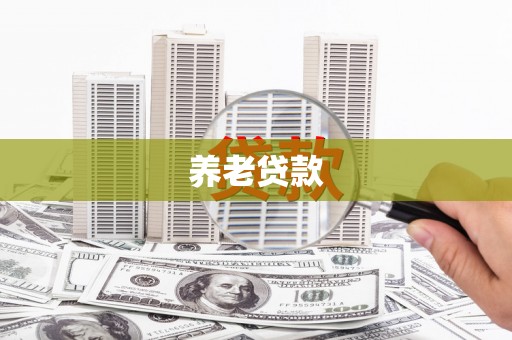 景东养老贷款