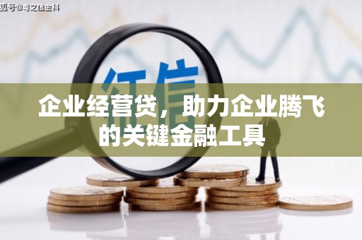 景东企业经营贷，助力企业腾飞的关键金融工具