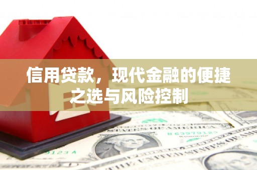 景东信用贷款，现代金融的便捷之选与风险控制
