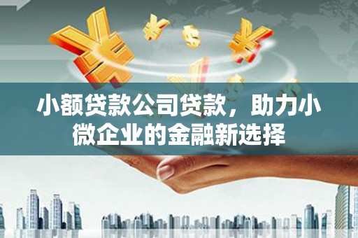 景东小额贷款公司贷款，助力小微企业的金融新选择