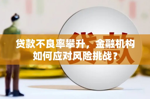 景东贷款不良率攀升，金融机构如何应对风险挑战？
