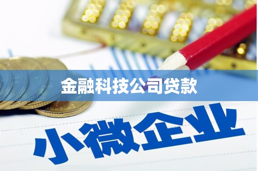 景东金融科技公司贷款