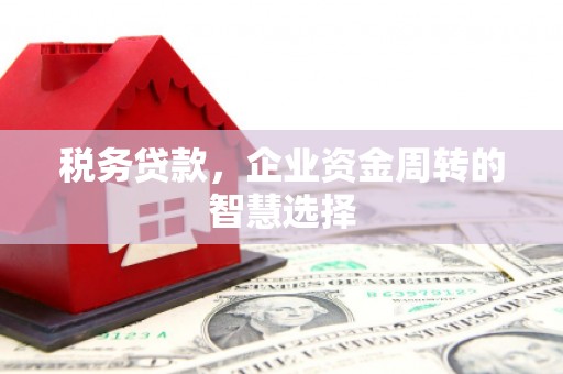 景东税务贷款，企业资金周转的智慧选择