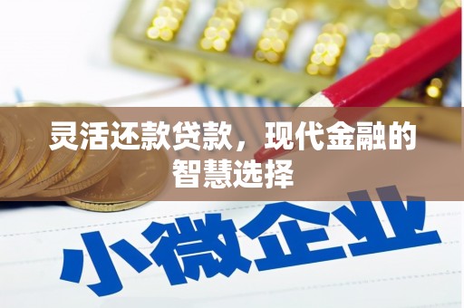 景东灵活还款贷款，现代金融的智慧选择