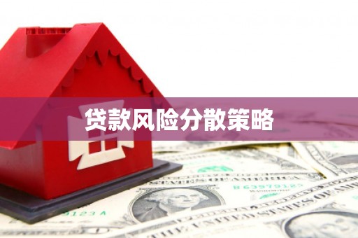 景东贷款风险分散策略