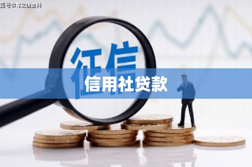 景东信用社贷款