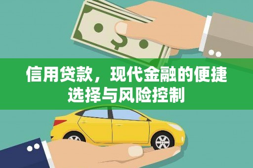 景东信用贷款，现代金融的便捷选择与风险控制