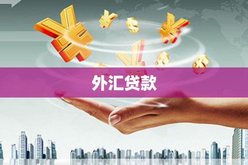 景东外汇贷款