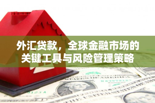 景东外汇贷款，全球金融市场的关键工具与风险管理策略
