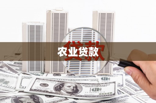 景东农业贷款