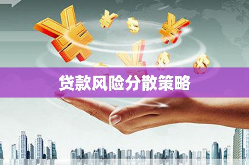 景东贷款风险分散策略