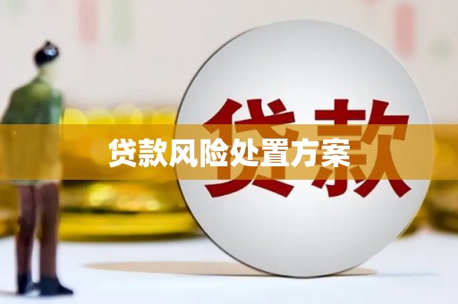 景东贷款风险处置方案