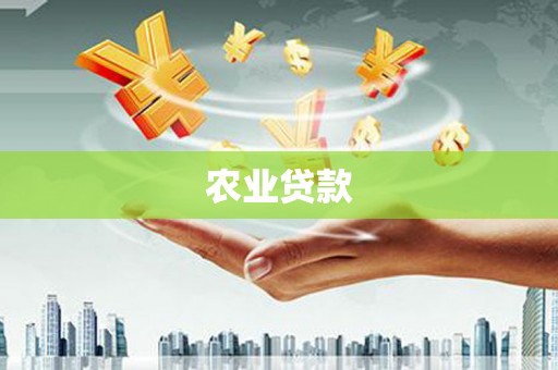 景东农业贷款