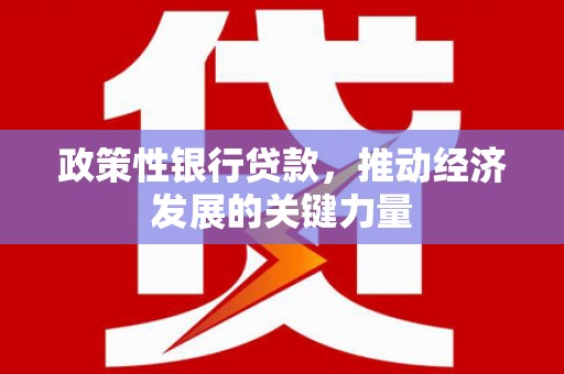 景东政策性银行贷款，推动经济发展的关键力量