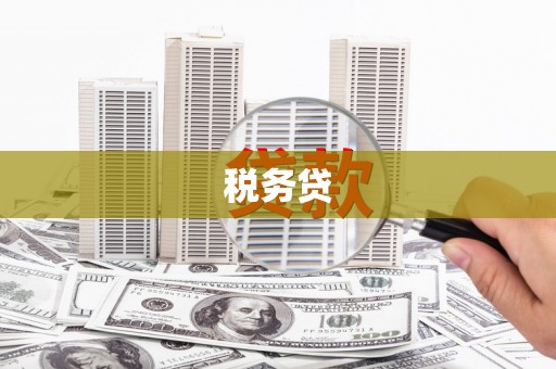 景东税务贷