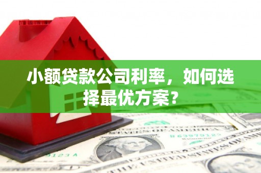 景东小额贷款公司利率，如何选择最优方案？