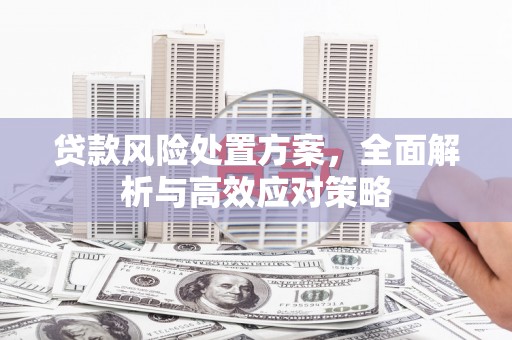 景东贷款风险处置方案，全面解析与高效应对策略