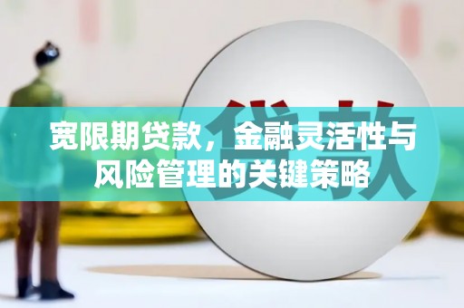 景东宽限期贷款，金融灵活性与风险管理的关键策略