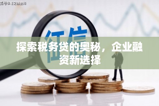 景东探索税务贷的奥秘，企业融资新选择
